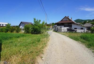 Teren 1,687mp Sighetu Marmatiei / Strada Doboies - 3