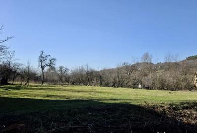 Teren de 4549 mp, în Gura Vitioarei - 3