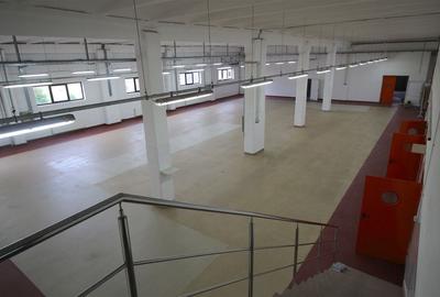 Hala productie    - Calea Torontalului de vanzare - 10