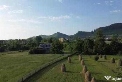 Teren de 10304 mp, în Slatina - 8