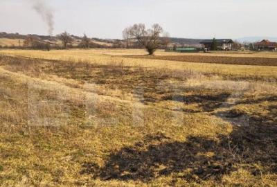 Teren extravilan de vanzare, 40 ARI, zona Racsa - 3