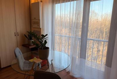 Garsoniera cu Vedere la Pădure | Iancu Nicolae | Complex cu piscină - 1