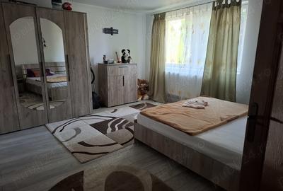 Casa cu lac in comuna Acas jud Saru Mare - 10