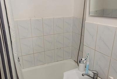 Apartament cu 3 camere semidecomandat în Narcisa - 1