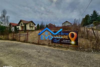 Teren de 987 mp, în Aleea Tudor Neculai - 4