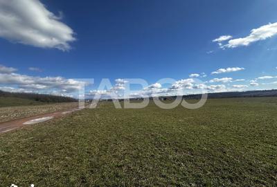 Teren de 2200 mp, în Turnișor