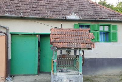Casă cu 2 camere în Fârliug - 1