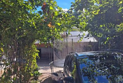 Casa Rosiori de Vede,Teleorman Casa Rosiori de Vede,Teleorman - 2