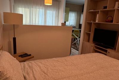 Garsonieră semidecomandată, mobilată în Prelungirea Ghencea - 6