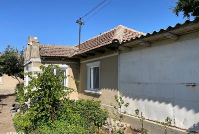 Teren de 3000 mp, în Lumina - 5