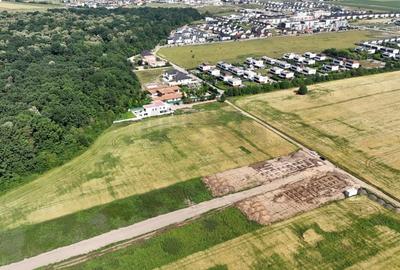 REL4000999 Teren l in proximitatea Amber Forest - 4