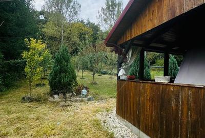 Teren Drumul Buzdului cu o cabana mica - 2