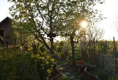 Casă cu 4 camere cu Teren 1000 Mp în Ianova - 2