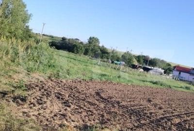 Teren Construcții intravilan de 2722 mp, în Ghercești - 2