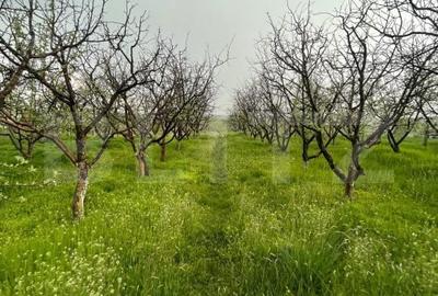 Teren de 4447 mp, în Pielești - 1