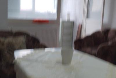 Garsonieră semidecomandată în Sârbi - 4