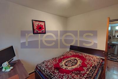 VANZARE 2 CAMERE I DECOMANDAT I HANUL DRUMETULUI - DRUMUL TABEREI - 5