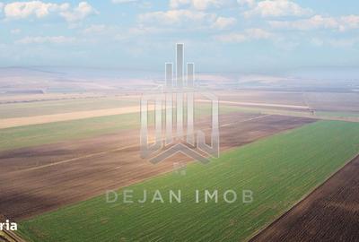 Teren de 5 mp, în Moacșa