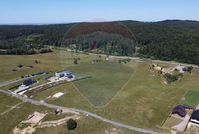 Teren agricol extravilan de 3757 mp, în Păltinoasa - 9