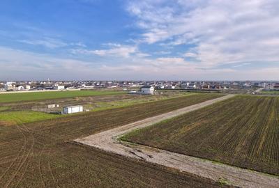 Teren Intravilan In Rate Sf. Ana - Com. Berceni | curent | #UG25 - 10