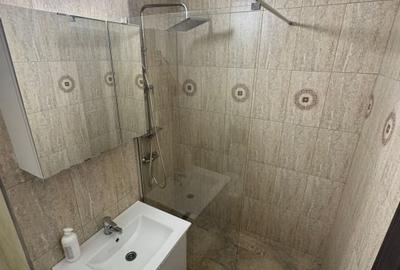 Apartament cu 2 camere decomandat, mobilat în Nicolae Grigorescu - 15