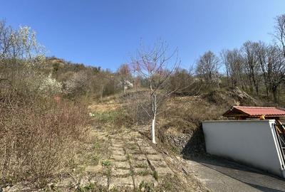 Teren Construcții intravilan de 756 mp, în Valea Roșie - 5