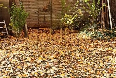 Casă individuală cu 5 camere cu Canalizare în Iancu Nicolae - 13