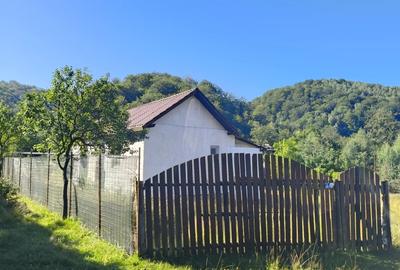 Proprietar vand casa + teren intravilan in sat Bani?a, jud. Hunedoara