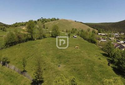 Parcelez teren 6514mp intravilan Manastirea Humorului - 5