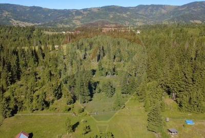 Teren 19,370mp Neagra Sarului / Strada ?estina - 5