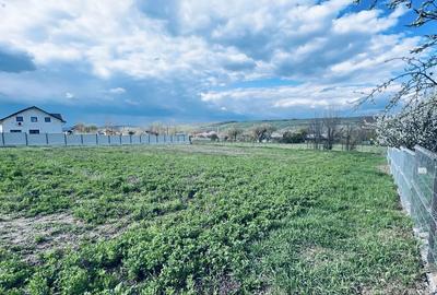 Teren de 1240 mp, în Cișmea - 3