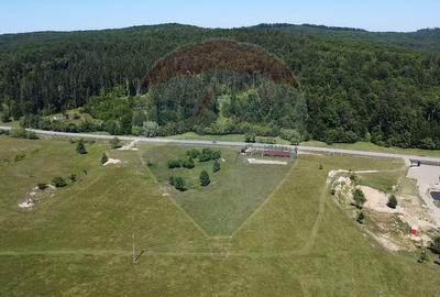 Teren agricol intravilan de 5561 mp, în Păltinoasa - 12