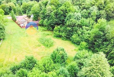 TEREN intravilan   8.000 mp TARCAU - 5