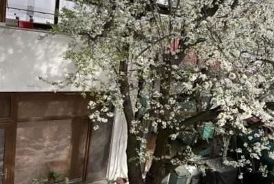 Casă cu 9 camere cu Teren 180 Mp în Matei Voievod - 4