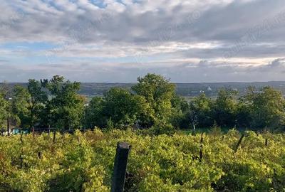 Casă în Chișcăreni - 1