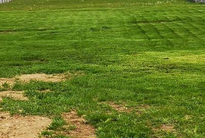 Spațiu comercial, în Lelești - 4