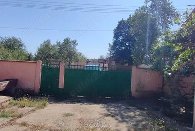 Casă cu 4 camere cu Teren 3000 Mp în Alioș - 1