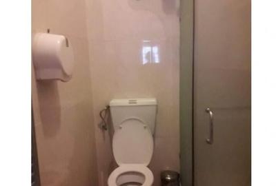 Casa 4 camere Parcul Carol - 9