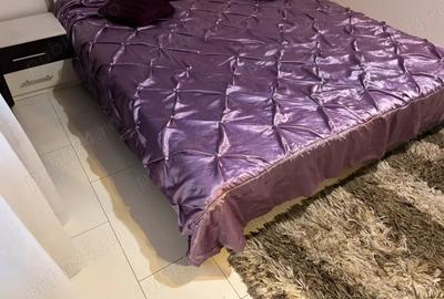 Inchiriez apartament 2 camere Steaua Sagului - 5