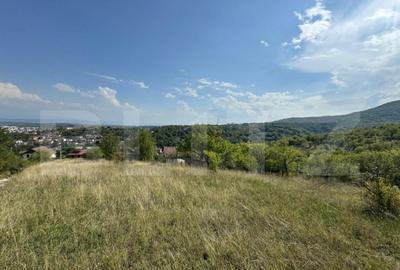 Teren intravilan de vanzare, 1495 mp, in Deva Teren intravilan de vanzare, 1495 mp, in Deva - 1