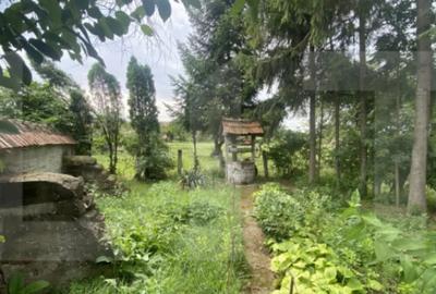 Casă cu 3 camere cu Teren 2100 Mp în Central