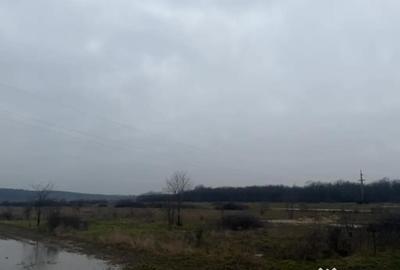 Teren de 5000 mp, în Brestei