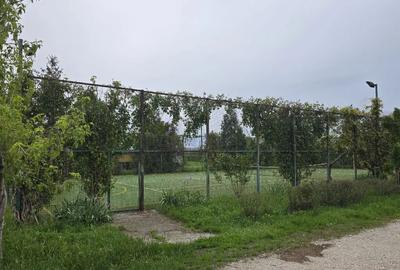 Teren de 38464 mp, în Beharca - 9