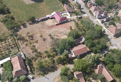 Teren pentru casa in Siria pe Soseaua spre Cetate - 7