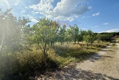 Teren de 700 mp, în Tăuții-Măgherăuș - 2