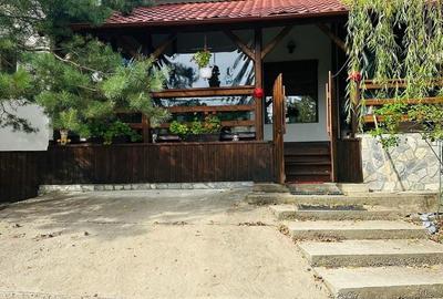 Casă cu 5 camere cu Teren 5000 Mp în Telega - 8