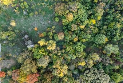 Vanzare Teren 1,800mp Vacaresti-Tinetretului Vanzare Teren 1,800mp Vacaresti-Tinetretului - 10
