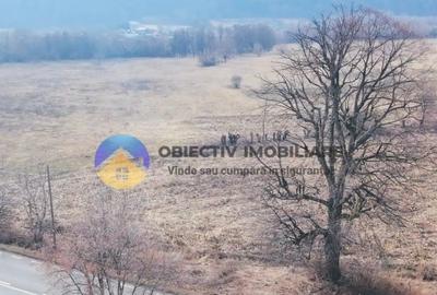 Teren Construcții intravilan de 3035 mp, în Bodești - 8