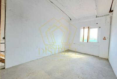 Hala de depozitare sau productie | Șagului | Steaua - 5