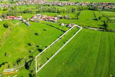 FILM! 2.063 mp de refugiu natural in localitatea Zagon, Covasna - 6